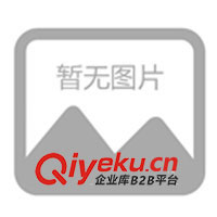 供應雙鴨山市兒童籃球機/雙鴨山市兒童投籃機(圖)